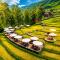 MT House Sa Pa - Mountain & Terraced fields View And Trekking Tour