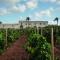Agriturismo Baglio Donnafranca Wine Resort