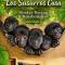 Los Susurros Casa Monkey Rescue and Rehabilitation Sanctuary