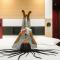ibis budget Blankenberge