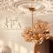 Private Spa Lodge Odenwald