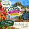 Cazorla LIVE