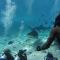 Silver County Fuvahmulah Diving Hotel