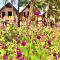 The Tottam Beach Hotel - Trincomalee