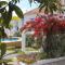 Maré Guesthouse - Garden, Yoga & Surf