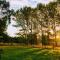 Height of Dunedin Farm - Serviced Private Chalet, Panoramic Night Skies