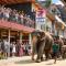 Elepath Lodge Pinnawala-Stay Where Elephants Walk to Bathe