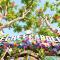 SECRET GARDEN Hostel - WANDERNEST Cat Ba