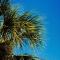 DoubleTree by Hilton Orlando Theme Park Resort