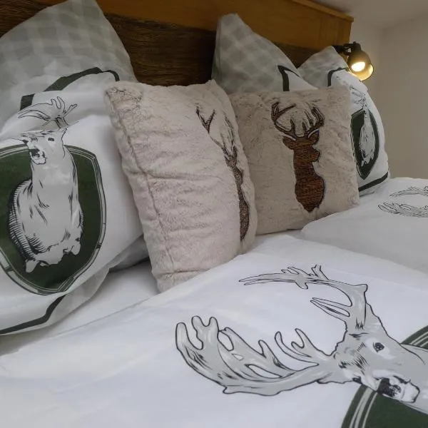 Alpenhaus Dachstein.Zauber, hotel v destinácii Abtenau