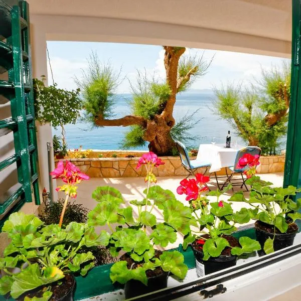 Studio Apartman Papić, hotel em Drasnice