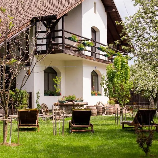 Casa Mosului - Transfăgărășan Bed & Breakfast, hotell sihtkohas Cârțișoara