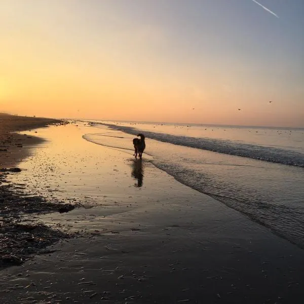 코크시데에 위치한 호텔 Au gré du vent