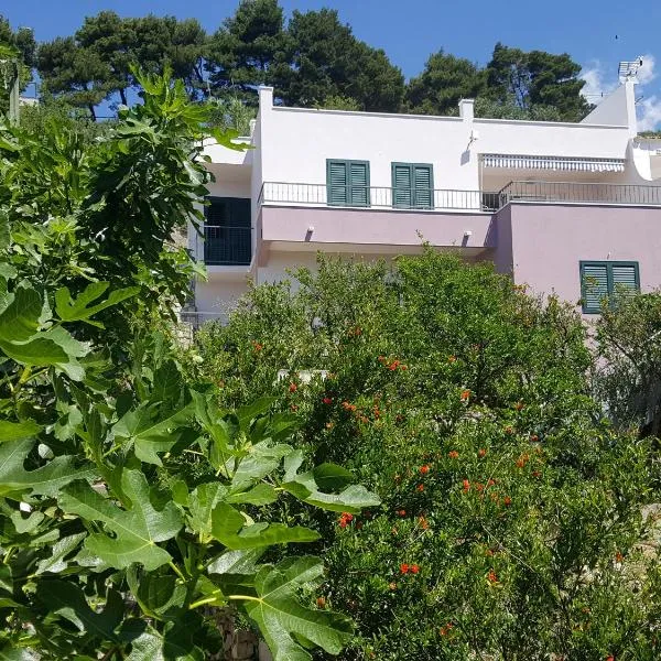 Apartments Pero, hotel in Podgora