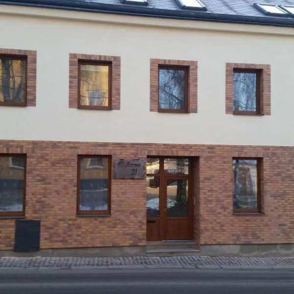 Apartmany u Dvora, hotel in Jihlava