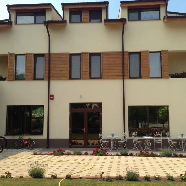 Pensiunea "La Nasu" – hotel w mieście Poroschia