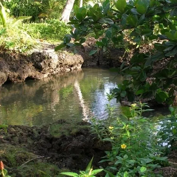 Piscina Natural on the Sea: Cahuita'da bir otel