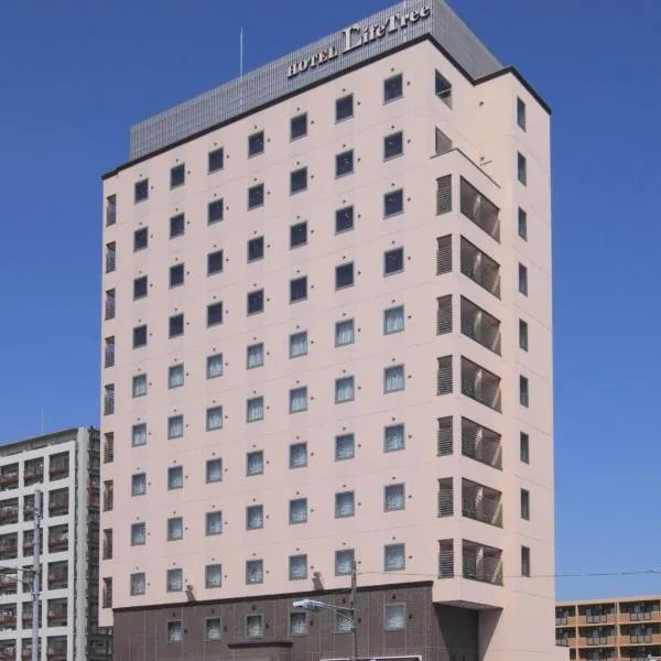 Hotel Lifetree Hitachinoushiku, hotel v destinaci Ushiku