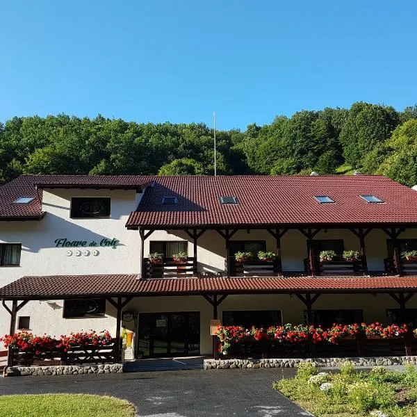 Pensiunea Floare De Colt, hotel in Onceşti