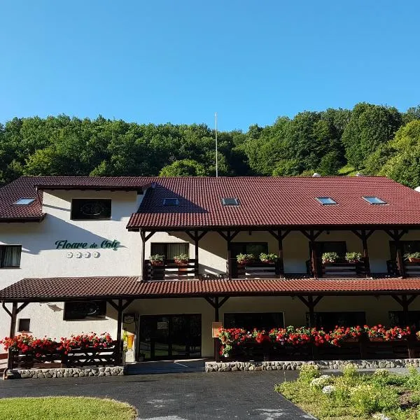 Pensiunea Floare De Colt, hotel in Cricău