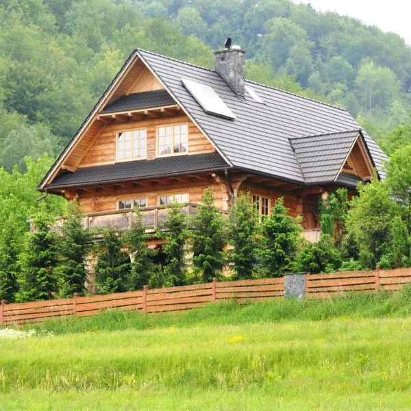 Krolowo Apartment, hotel v destinácii Krościenko