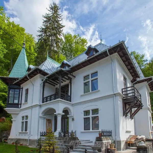 IL Piccolo Castello Busteni, hotel in Buşteni