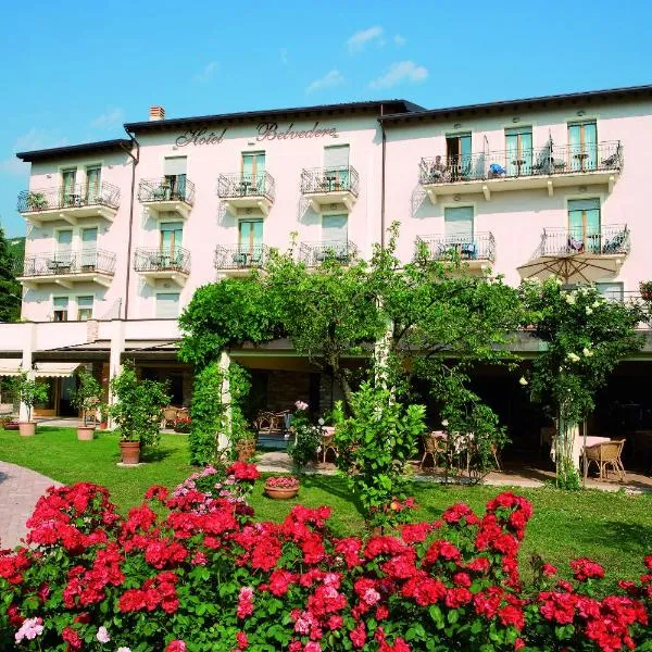 Hotel Belvedere – hotel w mieście Torri del Benaco