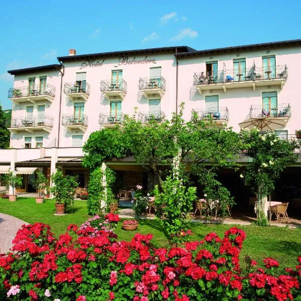 Hotel Belvedere: Torri del Benaco'da bir otel