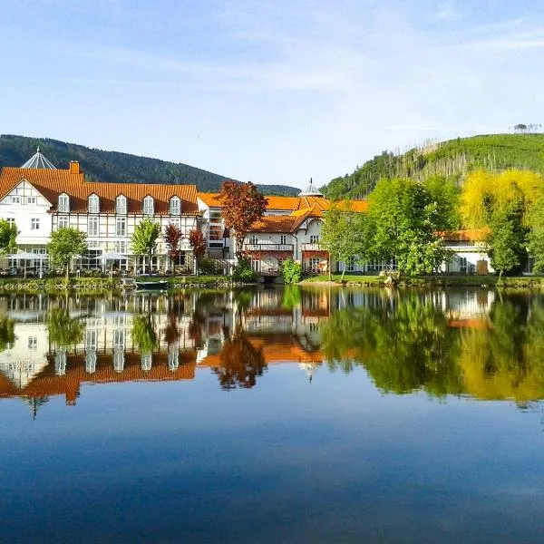 Landhaus Zu den Rothen Forellen, hotel v destinaci Ilsenburg