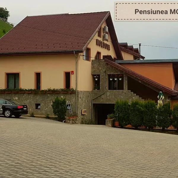 Pensiunea Moldova โรงแรมในVădurele