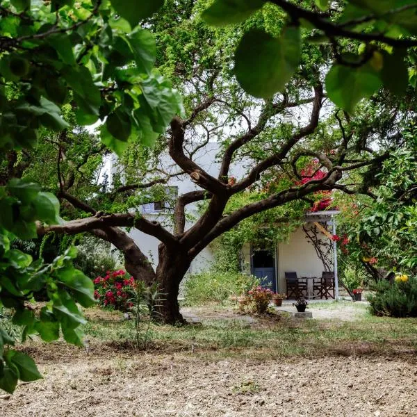 Margouno Eco Cottage, hotel in Kóronos