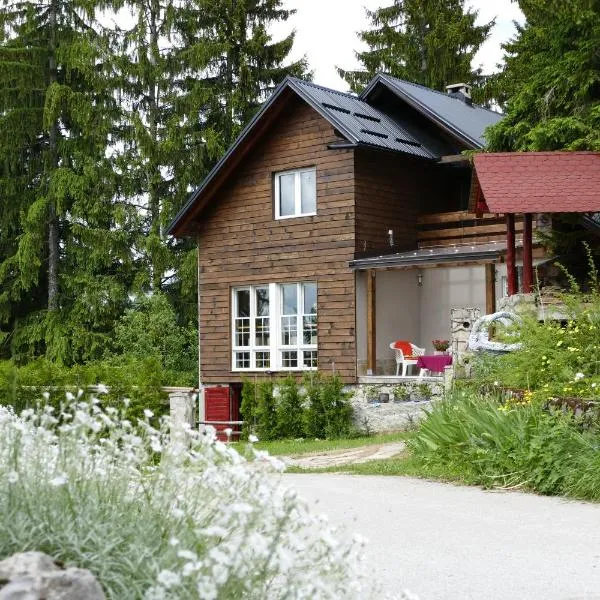 Vlašić House, hotel v destinaci Vlašić