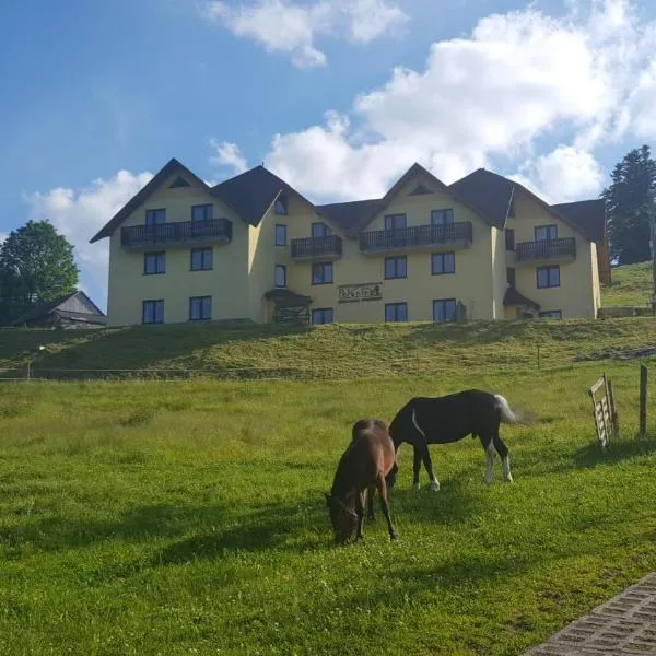 Połonina, hotel en Jeleśnia