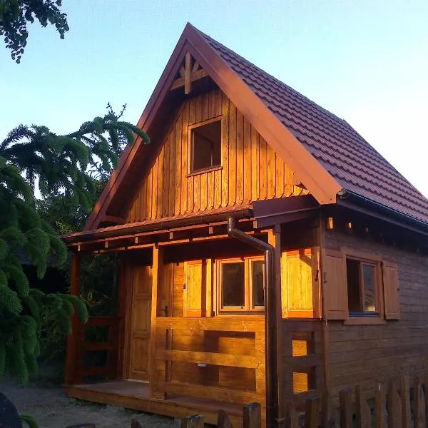 Nowe Domki Pod Lipami, hotel in Drewnica