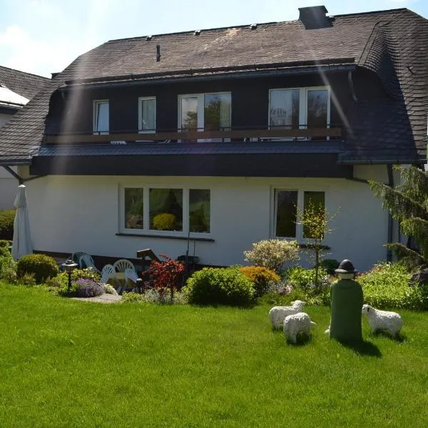 Pension Robin Hood, hotel v destinaci Willingen