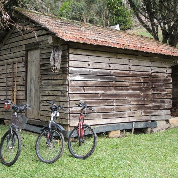 Tô na Roça - Foto 4