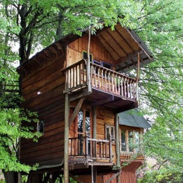 Sycamore Avenue Treehouses & Cottages Accommodation, hotel in Mooirivier