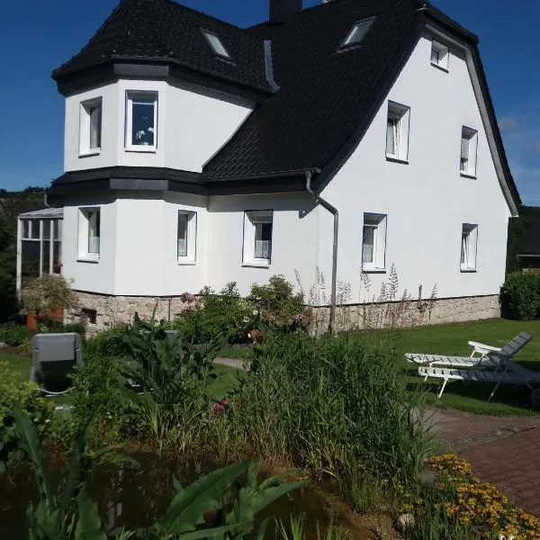 Haus Elsholz Usseln FeWo Birke、ヴィリンゲンのホテル