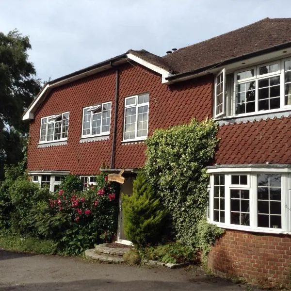 Tower Hill House Basingstoke, hotel in Brown Candover