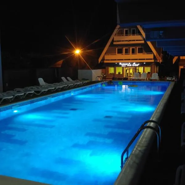 Pensiunea La Castel - Piscina incalzita，科斯蒂內甚蒂的飯店