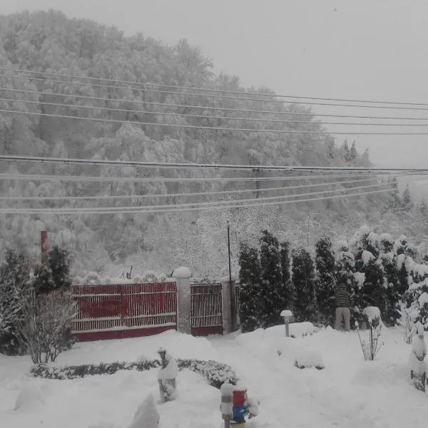 Pensiunea D O R U Arges、Coteneştiのホテル