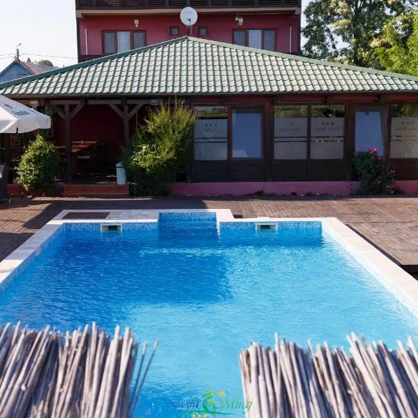 Pension Delta Miraj, hotel v destinaci Sulina