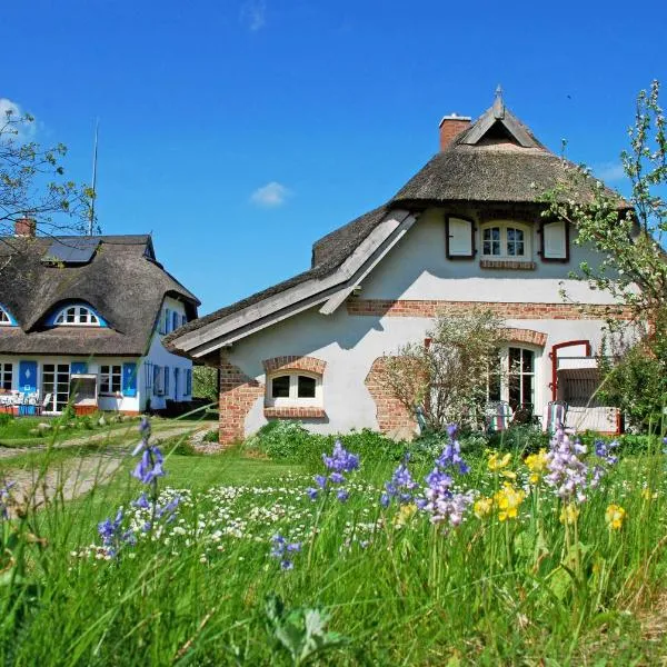 Ferienhaus unterm Reetdach, hotel in Ostseebad Sellin