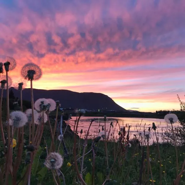 Thoristun Apartments, מלון בסלפוס