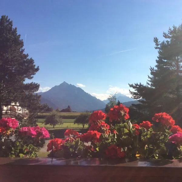 Haus Angelika - bed & breakfast - Innsbruck/Igls, hotel v destinaci Innsbruck