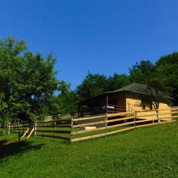 Forest Lodge on the Pyramid，Podlugovi的飯店