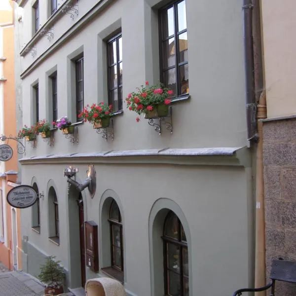 Penzion U Fridy, hotel v Lokti