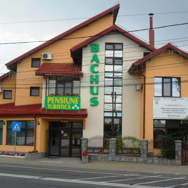 Pensiunea Bachus – hotel w mieście Piatra Neamţ