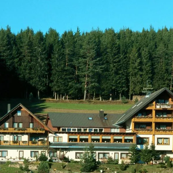 Waldhotel Auerhahn B&B Bed & Breakfast, hotel v destinácii Dittishausen