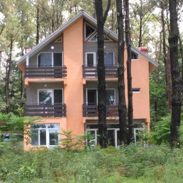Villa Vachnadze, hotel in Shekvetili